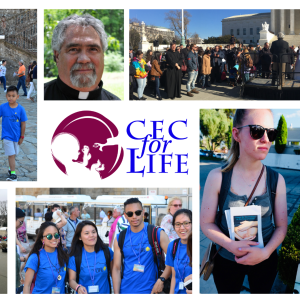 CEC Church Feast Day Offering